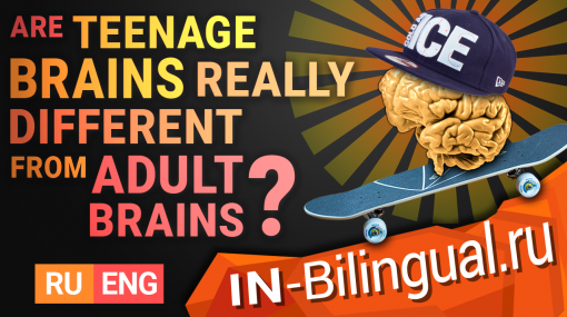 Действительно ли подростковые мозги отличаются от взрослых?